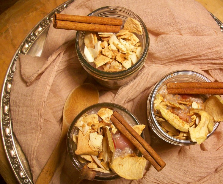 Apple Cranberry Chia Pudding