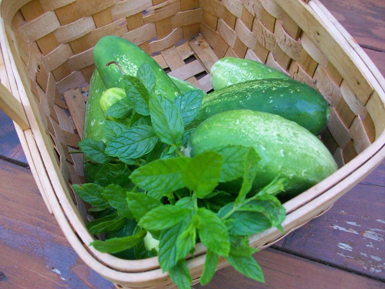 Cucumber Lemon-Lime Aide