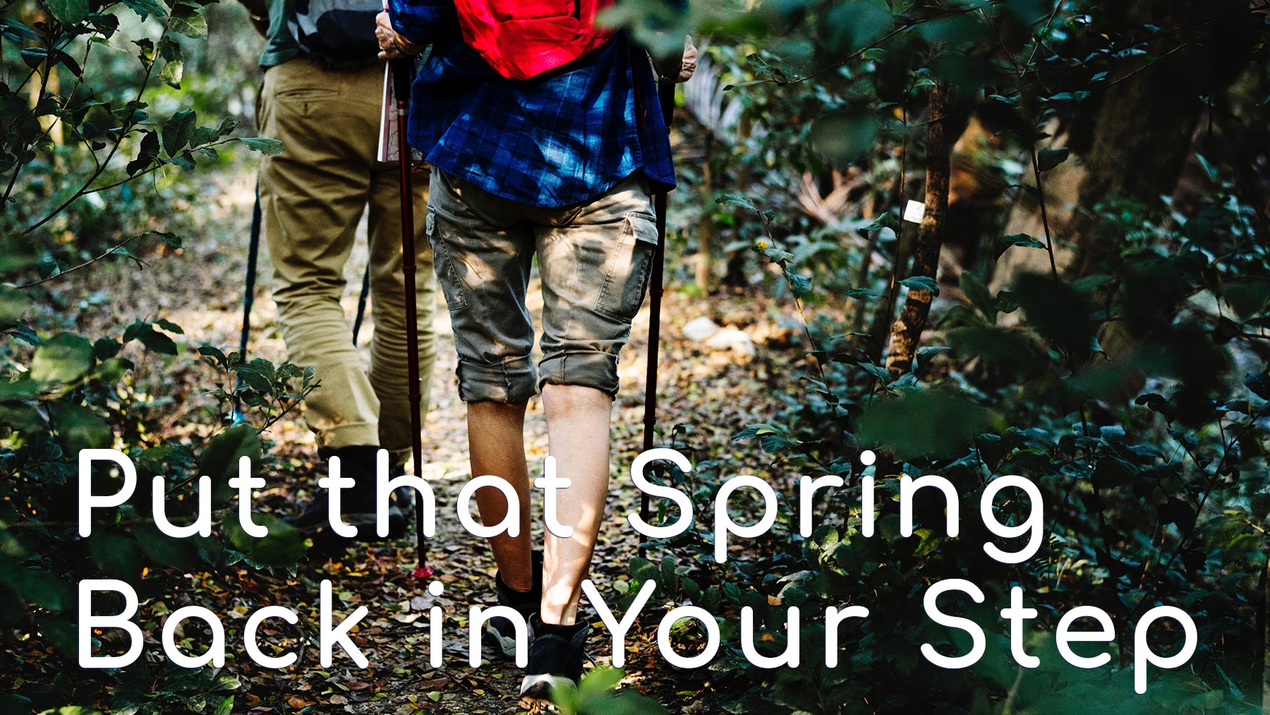 put that spring back in your step - photo of hikers in the woods