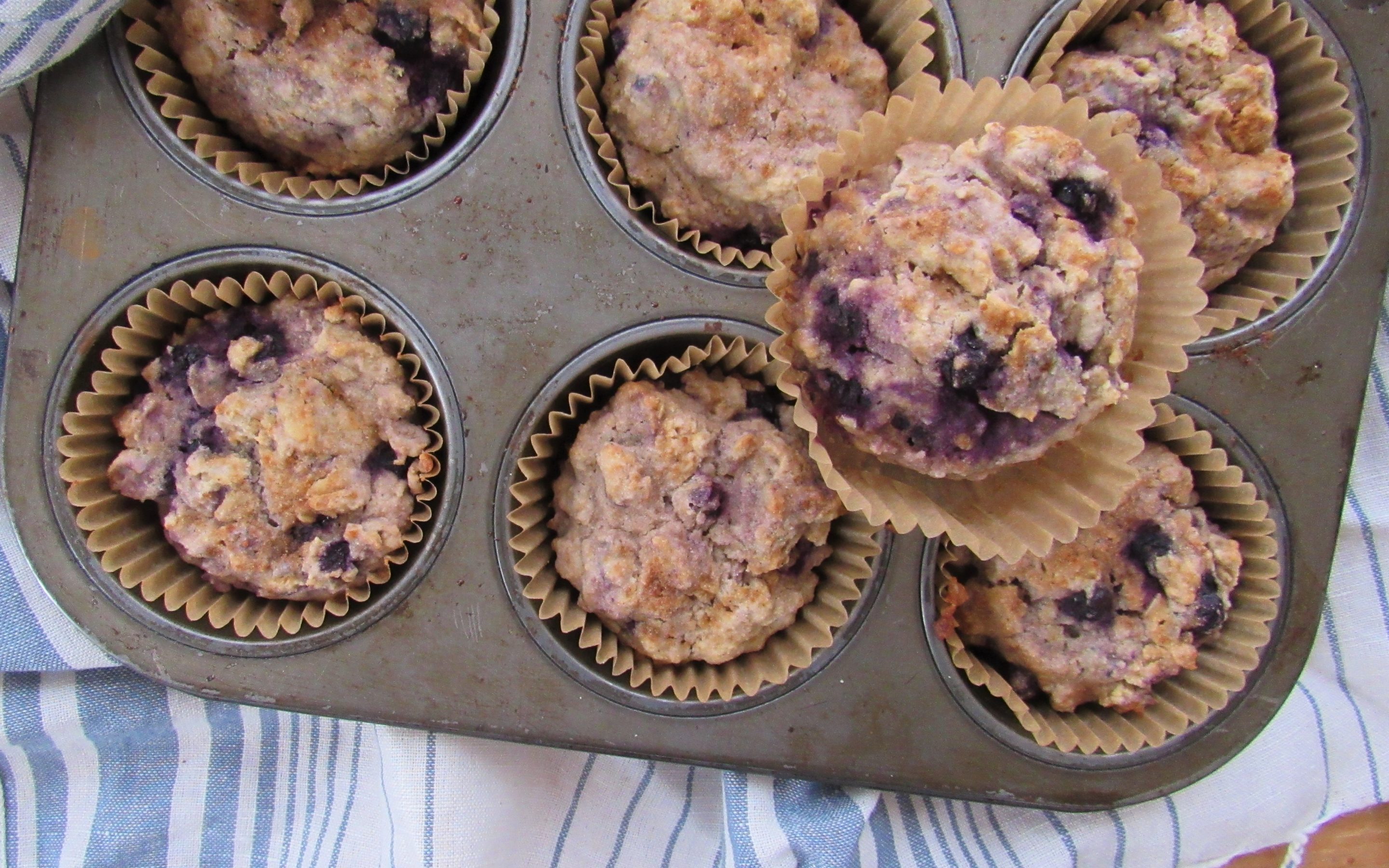 blueberry cardamom muffin fresh from the oven