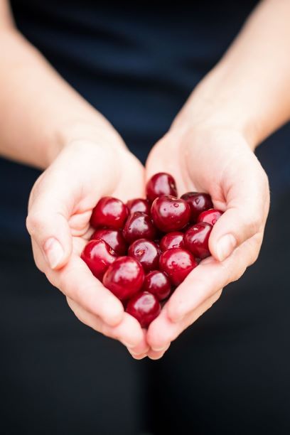 Preserving cherries