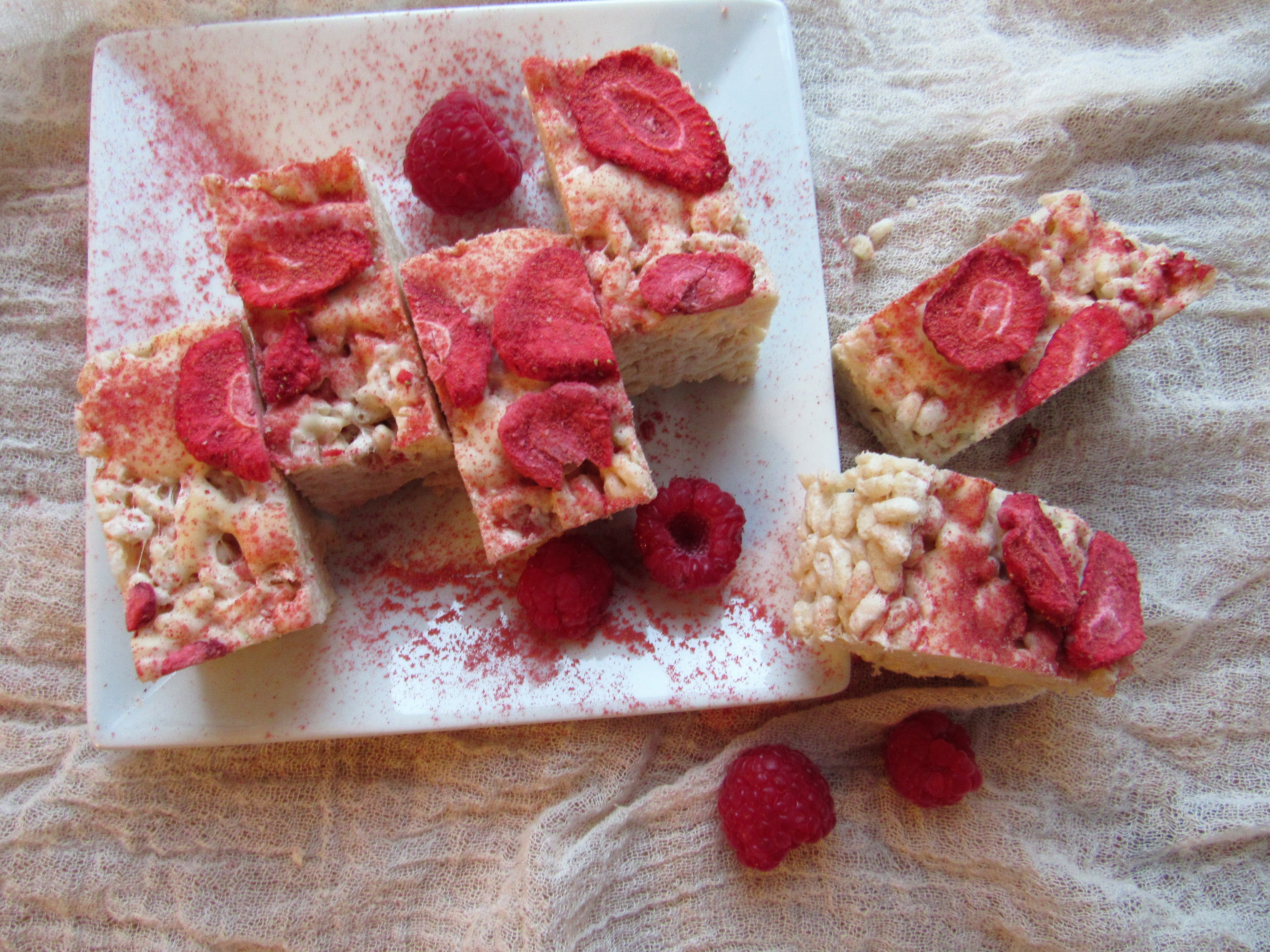 White Cocoa Berry Rice Crispy Treats