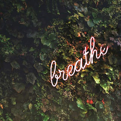 photo of a neon sign that says breathe up against a wall of ivy